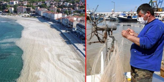 İstanbul'dan sonra Tekirdağ'ı da deniz salyası kabusu vurdu