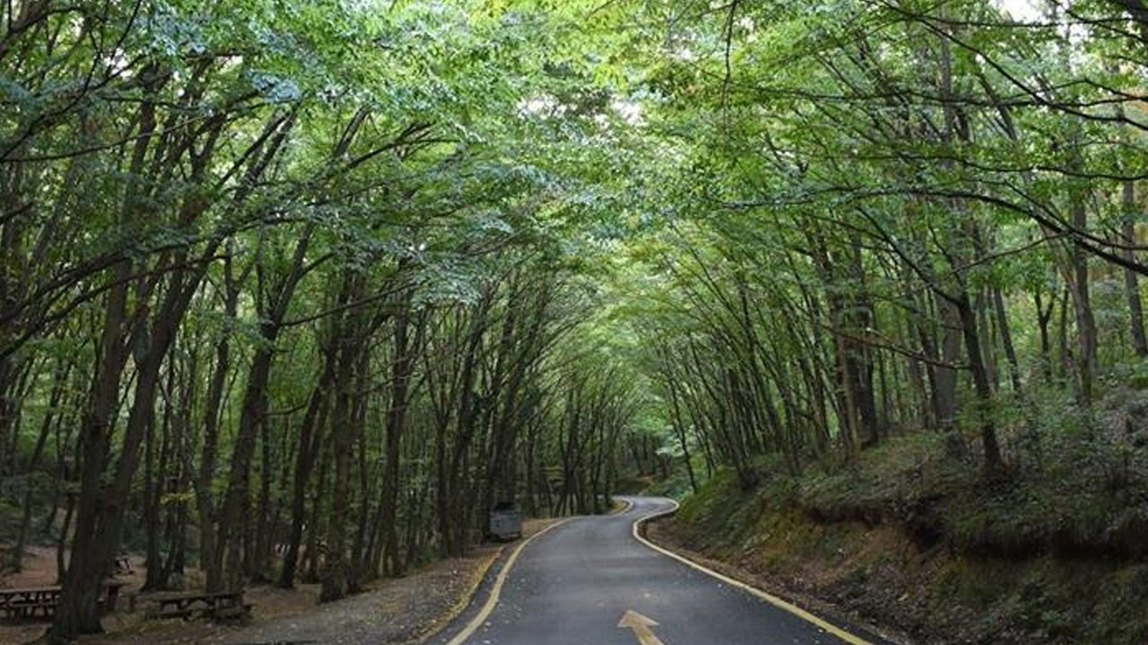 İstanbullular dikkat! Girişler 15 Ekim'e kadar yasak