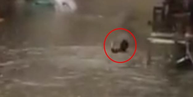 Vatandaş işe yüzerek gitti