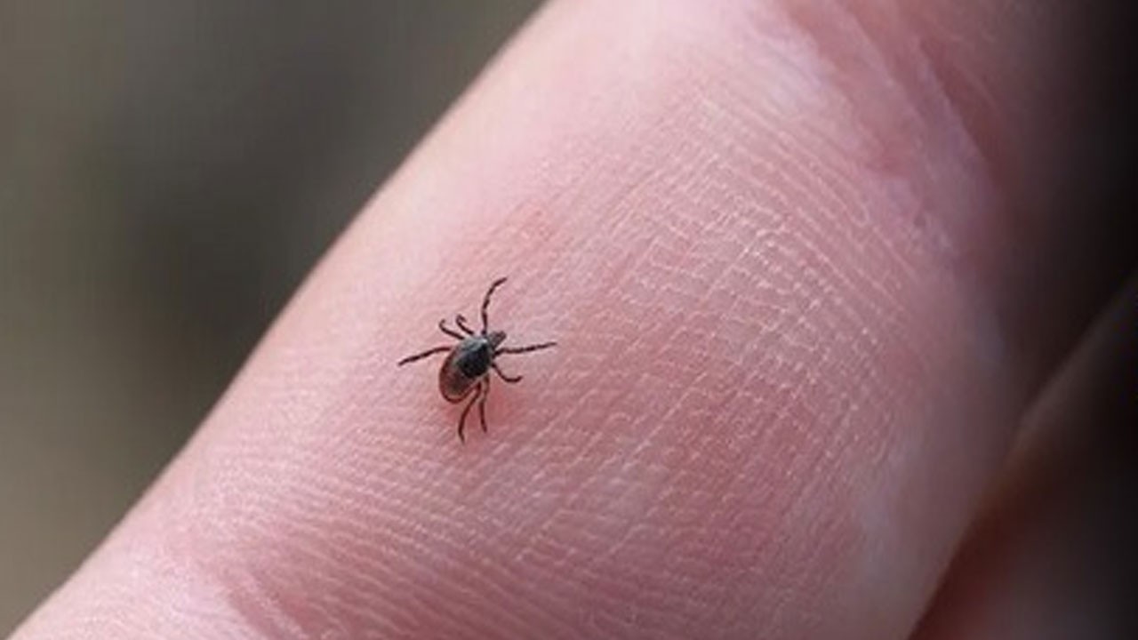 İstanbul’un ardından şimdi de İzmir alarm veriyor