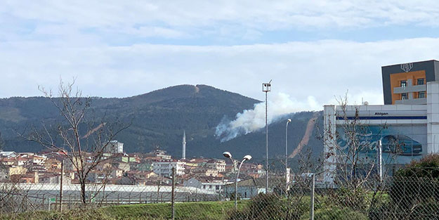 İstanbul'un ciğerlerinde yangın çıktı!