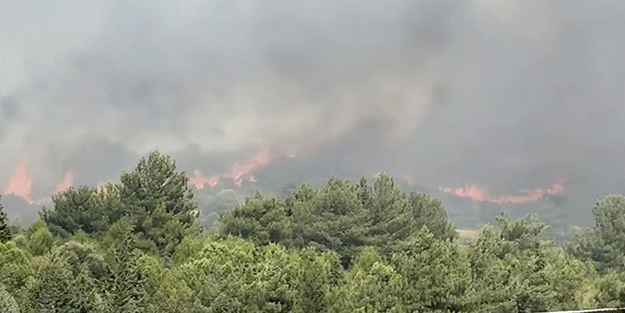 İstanbul'un ciğerlerinde yangını