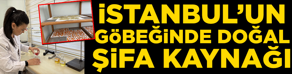 İstanbul'un göbeğinde doğal şifa kaynağı