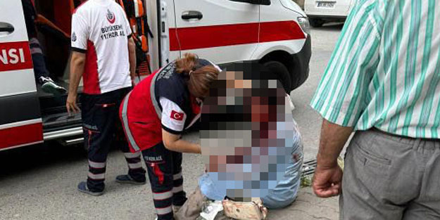 İstanbul'un göbeğinde köpek dehşeti