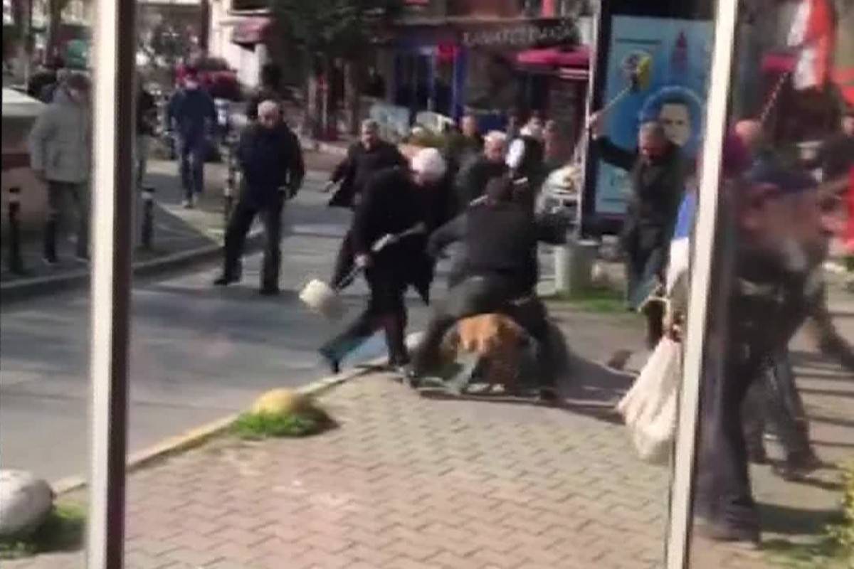 İstanbul'un göbeğinde pitbull dehşeti kamerada