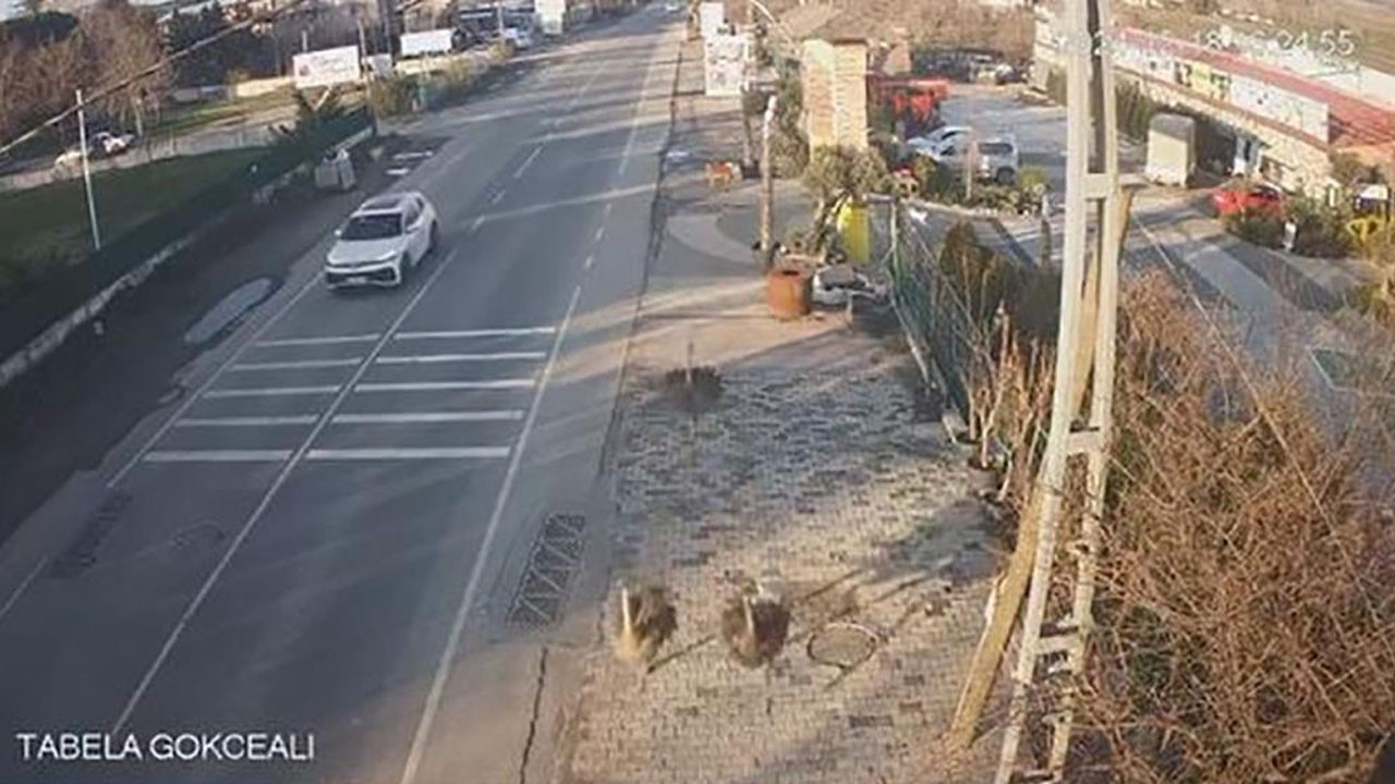 İstanbul'un göbeğinde şaşırtan görüntü! Dev kuşları trafiği birbirine kattı