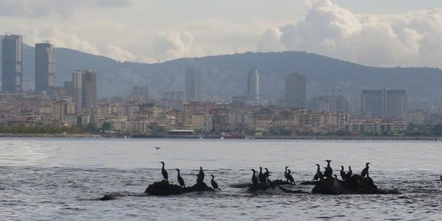 İstanbul'un kayıp adası ortaya çıktı