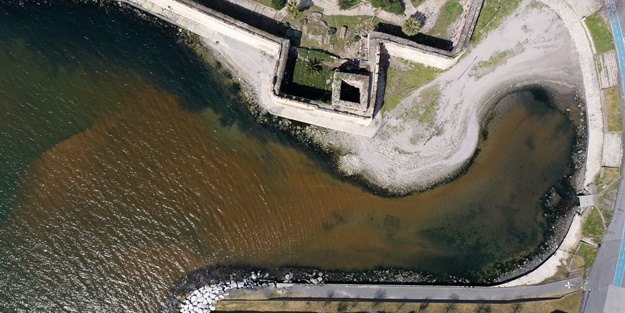 İstanbul'un sahillerinde kirlilik! Vatandaşlar tepkili