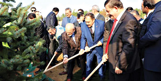 İstanbul’un yüzde 44’ü ağaçlandırıldı! Geziciler utansın