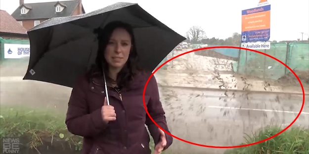 İşte 2017'nin en komik sunucu hataları