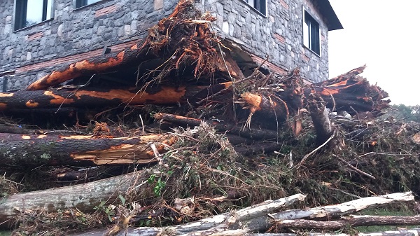 İşte 6 kişiye mezar olan bungalovlar