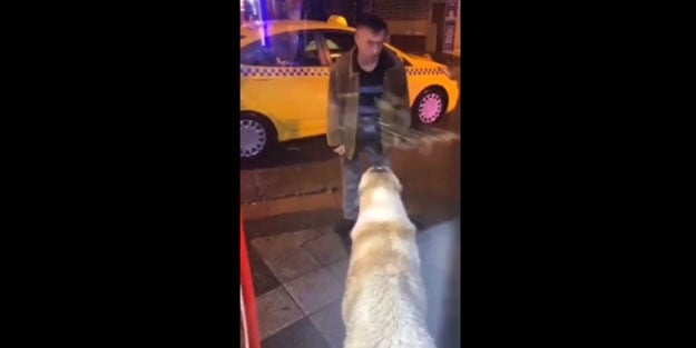 İşte alkolün insanı düşürdüğü rezil durum!
