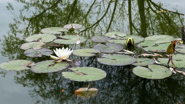 İşte Ankara'nın en otantik havuzu