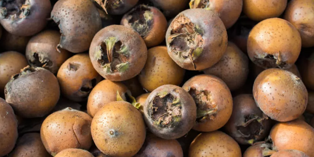 İşte böbrekleri temizleyen en etkili gıdalar