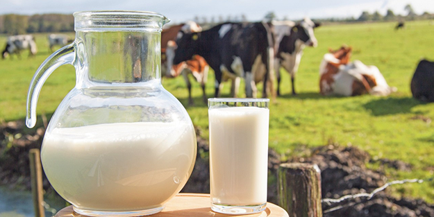 İşte bu hiç beklenmiyordu! Süt ve süt ürünleri üreten Türk devi iflas etti