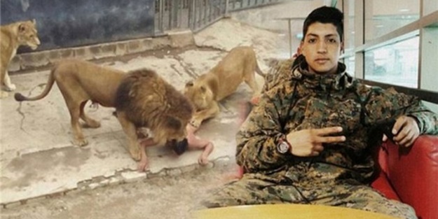 İşte bu yüzden kendini aslanlara yem etmiş!