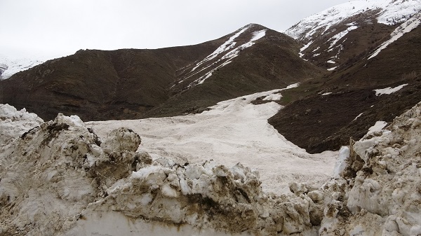 İşte çığın verdiği zarar! Karlar eridi ortaya çıktı