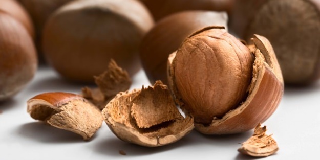 İşte çöpe attığınız fındık kabuğunun faydaları