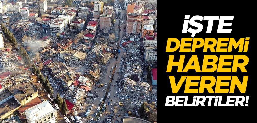 İşte depremi haber veren belirtiler!