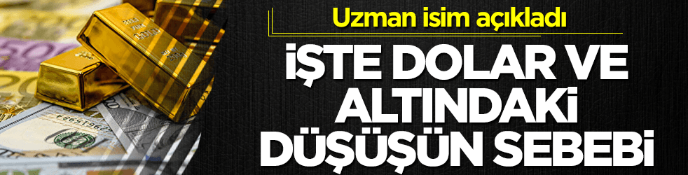 İşte dolar ve altındaki düşüşün sebebi