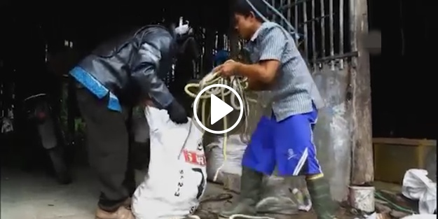 İşte dünyanın en ürkütücü işlerinden biri!