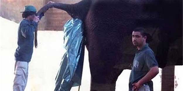 İşte dünyanın en zor meslekleri