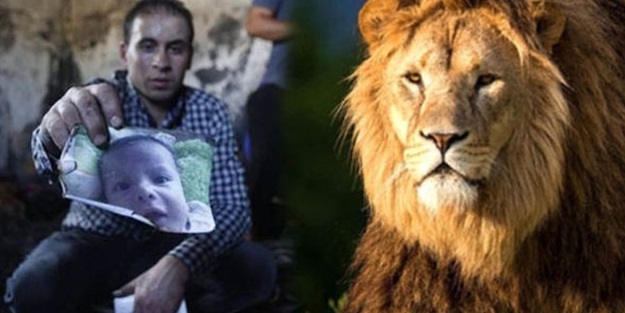 Cecil'e tepki, yakarak öldürülen Ali'ye sessizlik!