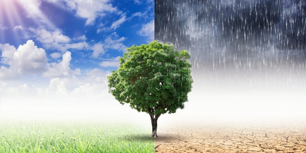 İşte dünyayı kurtarmanın 10 yolu