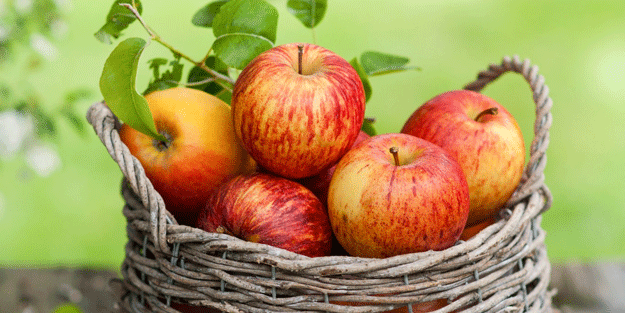İşte elmanın hiç bilmediğiniz zararları!