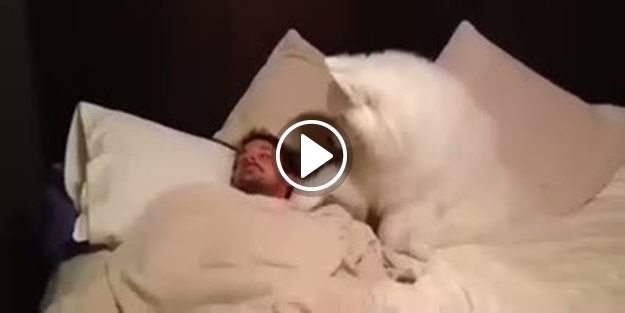 İşte en tatlı uyandırma servisi