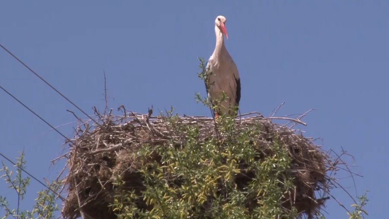 İşte, göç yolunun vazgeçilmez durağı