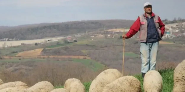 Sosyal medyanın diline düştü! Aylık 60 bin TL kazanç ile herkesin dikkatini çekti