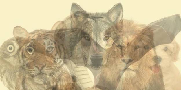 İşte herkesi şaşırtan kişilik analizi