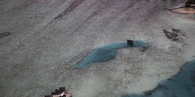 İşte inanılmaz görüntüler! Küresel ısınmanın vurduğu ülke çareyi bunda buldu