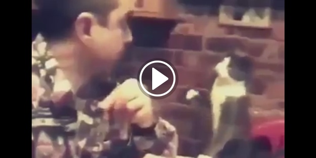 İşte işitme engelli sahibinden işaret diliyle yemek isteyen kedi