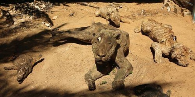 İşte İsrail zulmünün tablosu - FOTO