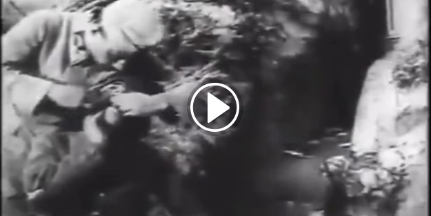 İşte İstiklâl Harbi sırasında diş çektiren bir Mehmetçiğin görüntüsü