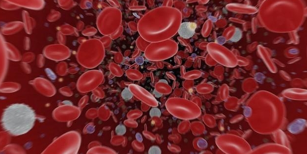 İşte kandaki akyuvarları artıran gıdalar