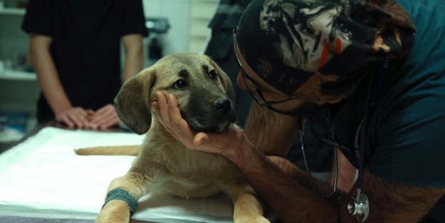 İşte 'Kuyu'nun sağlık durumu