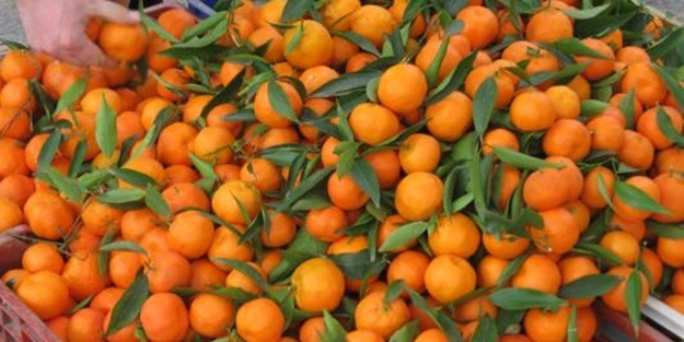 İşte mandalinanın mucizevi faydaları