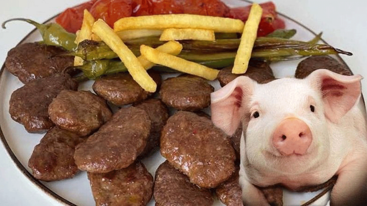 İşte millete domuz eti yediren firmalar