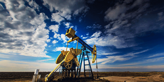 İşte o bitki… Çalışmalar başladı! Tarladan petrol fışkıracak