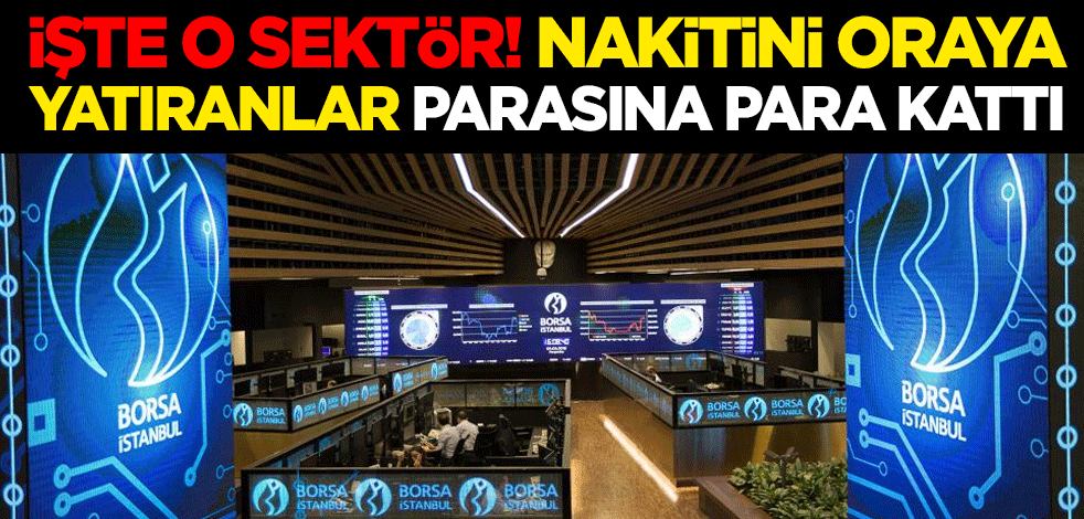 İşte o sektör! Nakitini oraya yatıranlar parasına para kattı