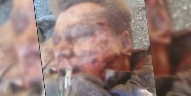 İşte Rus pilotun fotoğrafı!