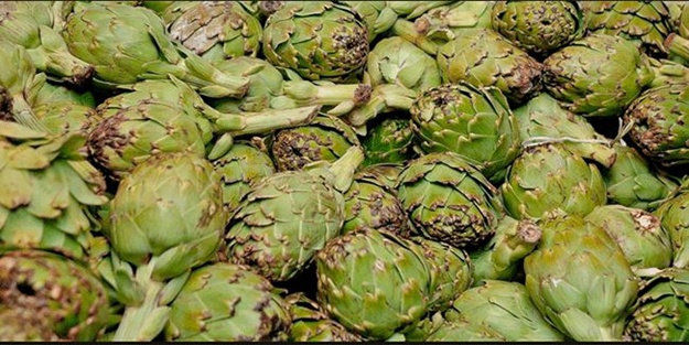 Şeker hastalığına iyi gelen besinler