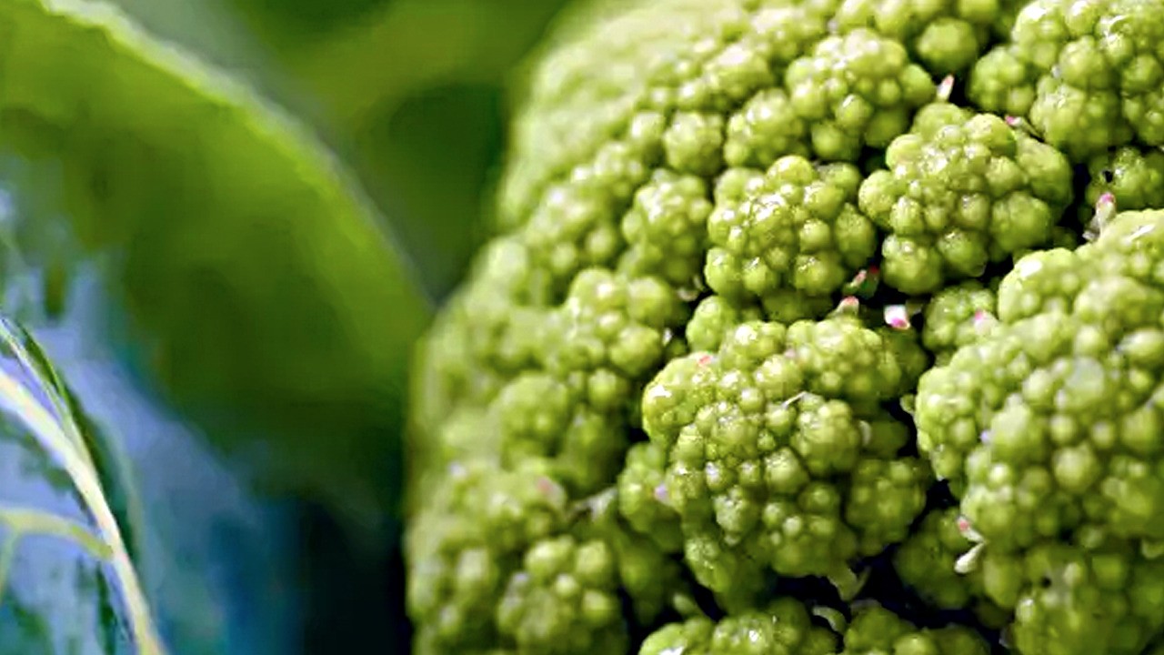 Bu besinler yaşlanma belirtilerini geciktiriyor! Cildiniz yaza hazır mı? Doğal reçete