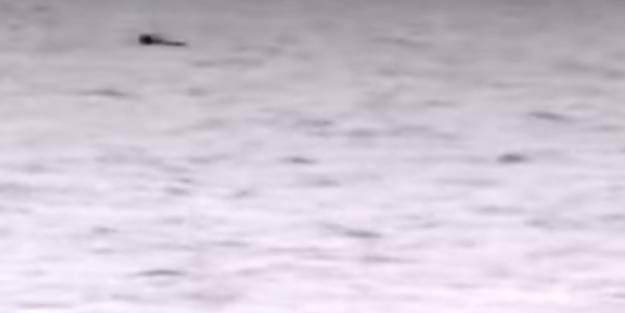 İşte şimdi ortalık karışacak! Yunanistan İHA'ları peş peşe düşürdü