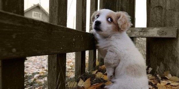 İşte sosyal medyada en çok paylaşılan fotoğraflar