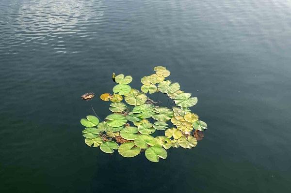 İşte, Türkiye'nin en büyük göleti