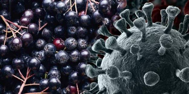 İşte uzmanların koronavirüse karşı önerdiği mucizevi meyve!